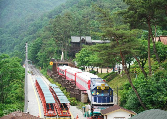 천천히공방카페 이미지
