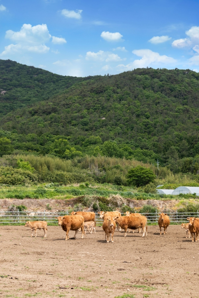 신촌축산유통 이미지