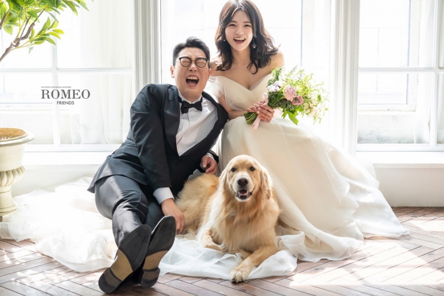 서하컴퍼니 이미지