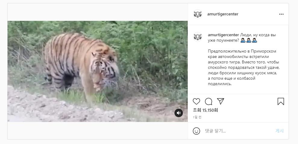 네트워크영상북부서비스 이미지