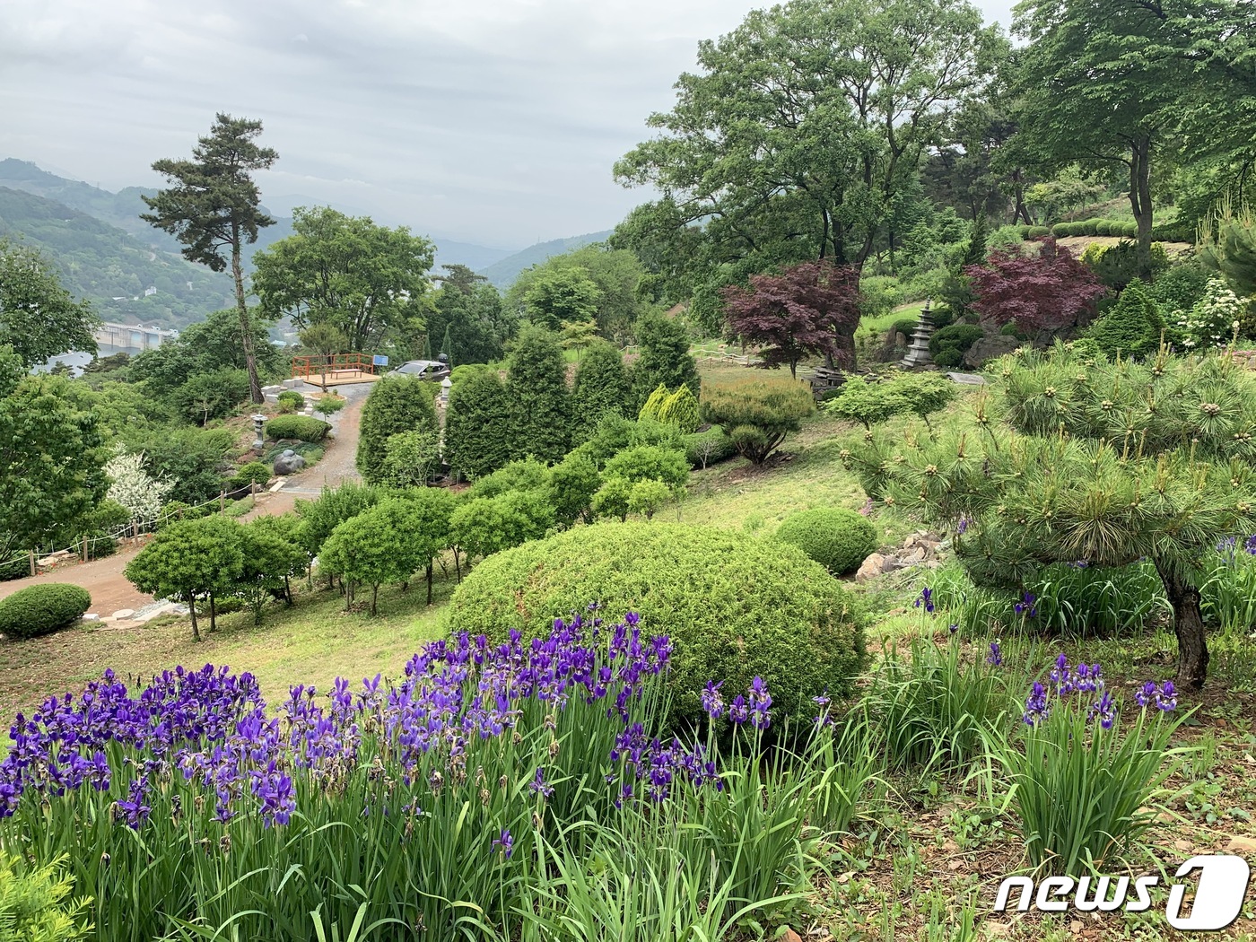 드림숲 이미지