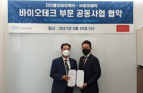 애틱 이미지