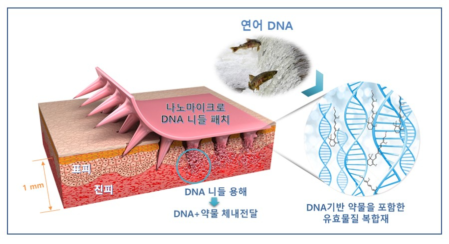 한국나노기술연구소 이미지