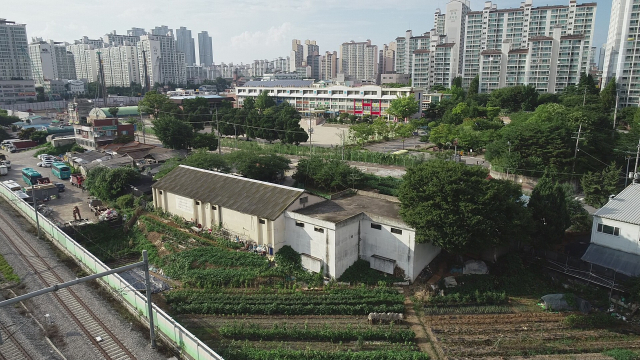 일산 이미지
