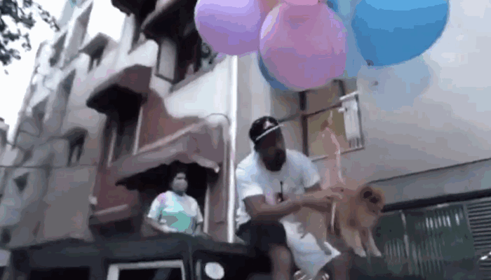 〈영상=유튜브 GAURAVZONE〉