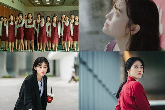 마인 이미지