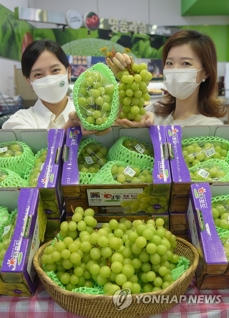 제천농협하나로마트 이미지