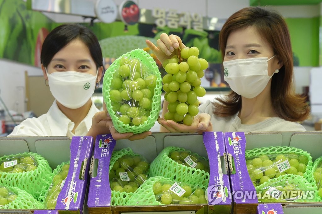 제천농협하나로마트 이미지