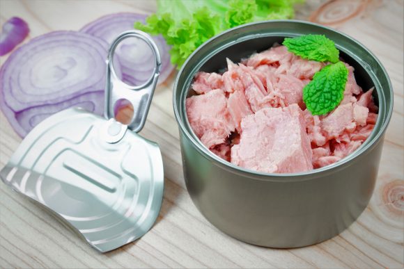 참치뱅크 이미지