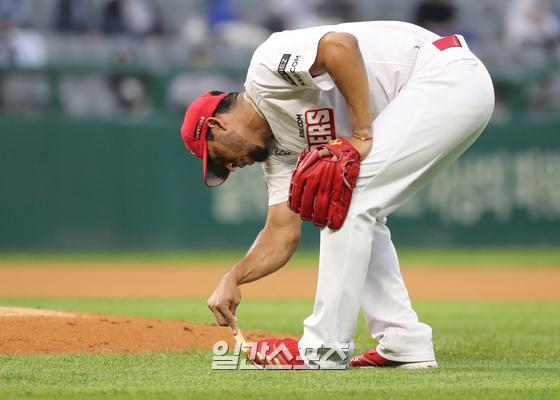 정성 이미지