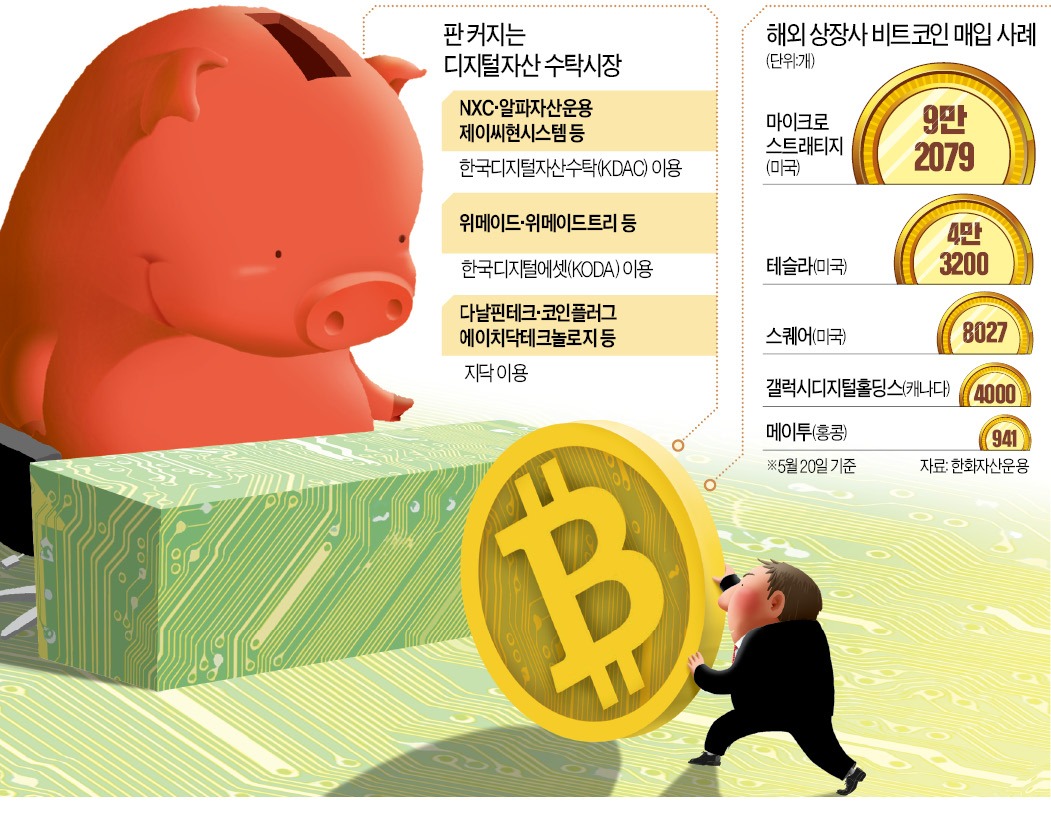 우리 회사 코인 맡아주세요