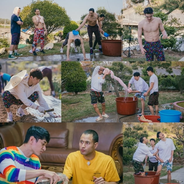 브로 이미지
