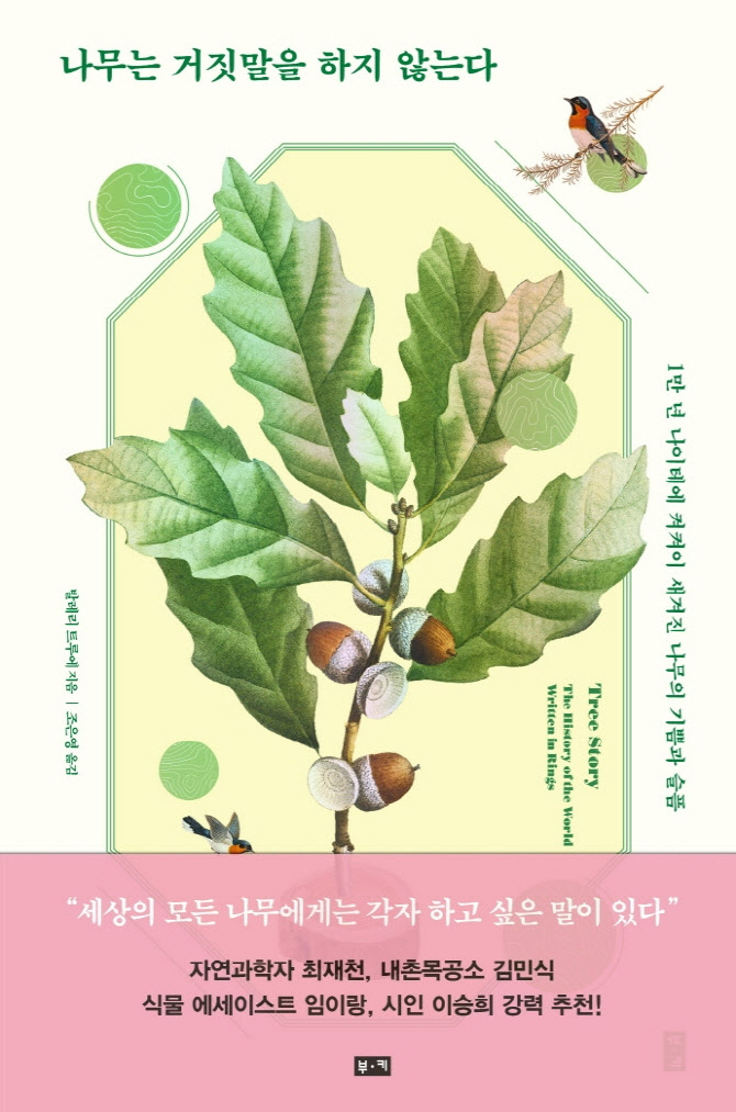 나이테 이미지