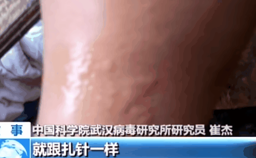 대만 매체가 공개한 중국중앙방송(CCTV) 영상. 출처 유튜브