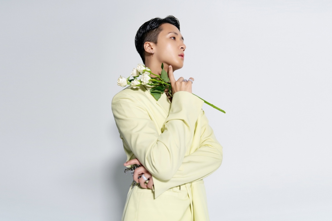라비 이미지