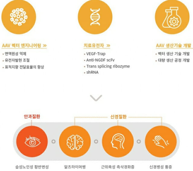 제네틱스코리아 이미지