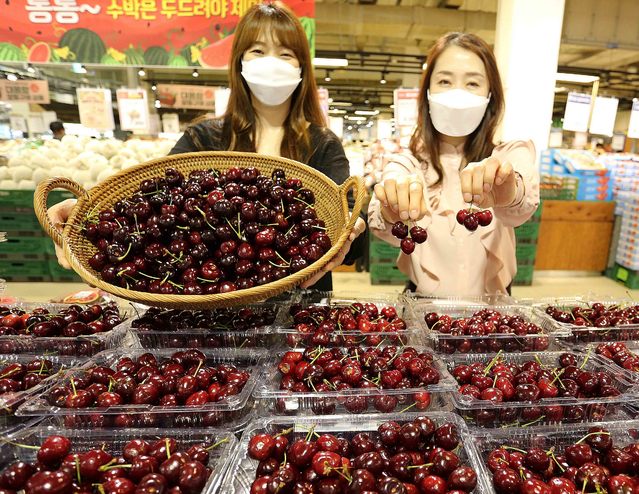 체리마트 이미지