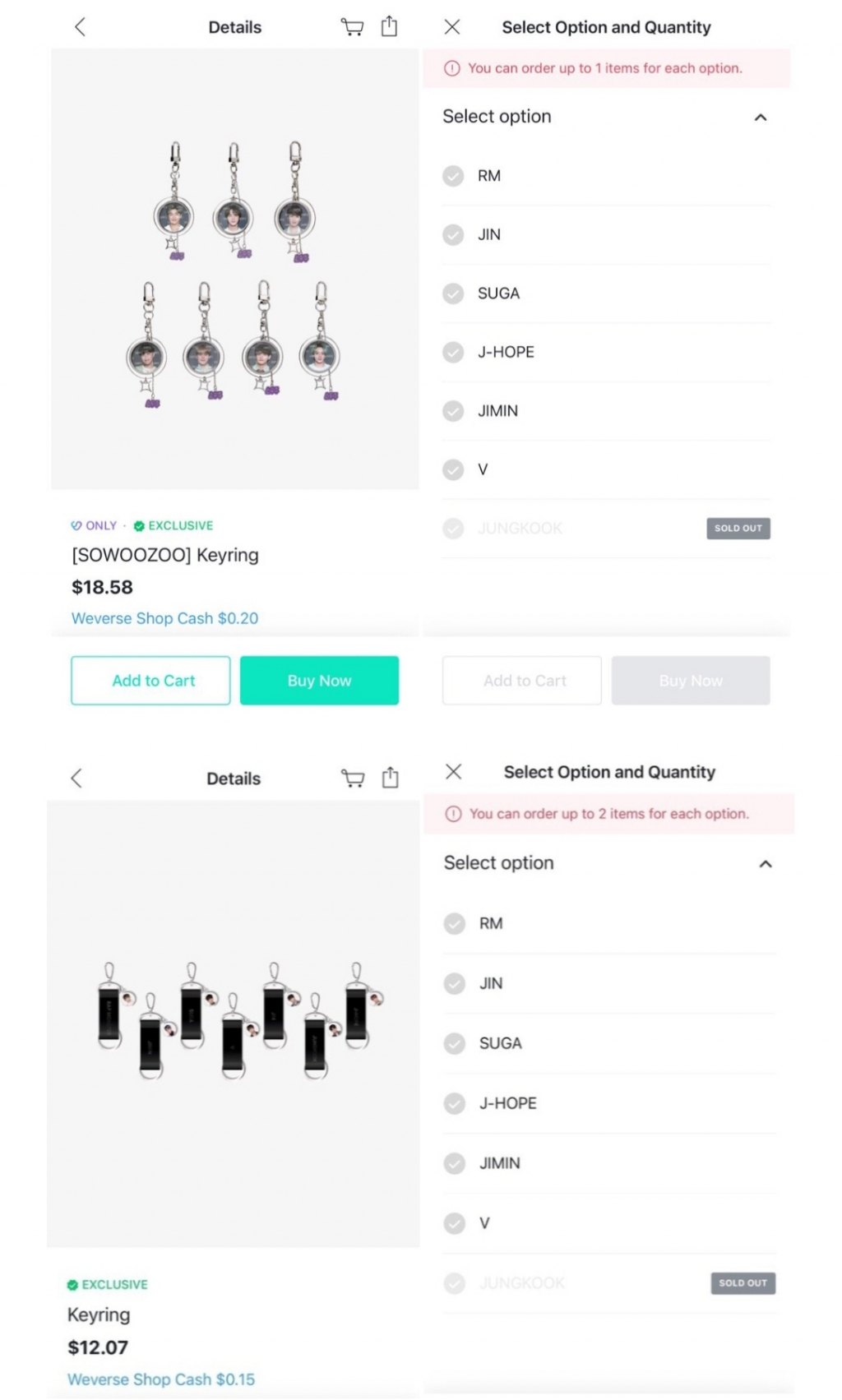 소우주 이미지