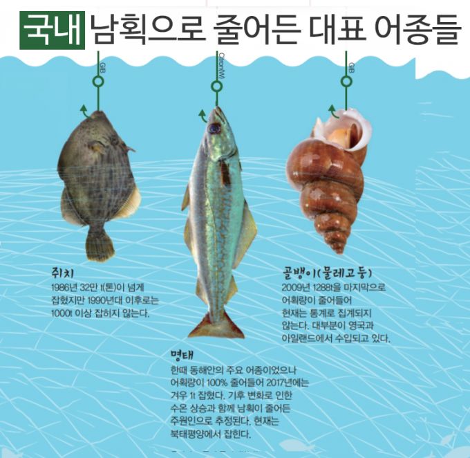 운바다 이미지