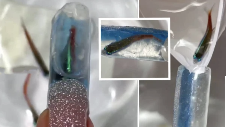 써니네일써니nail 이미지