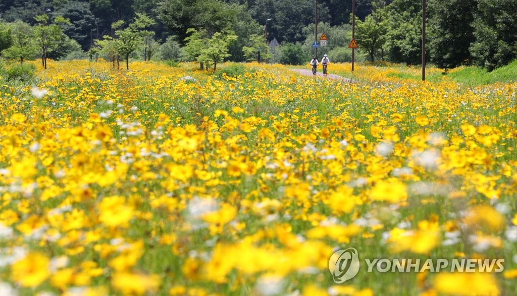 (주)시민의소리 이미지