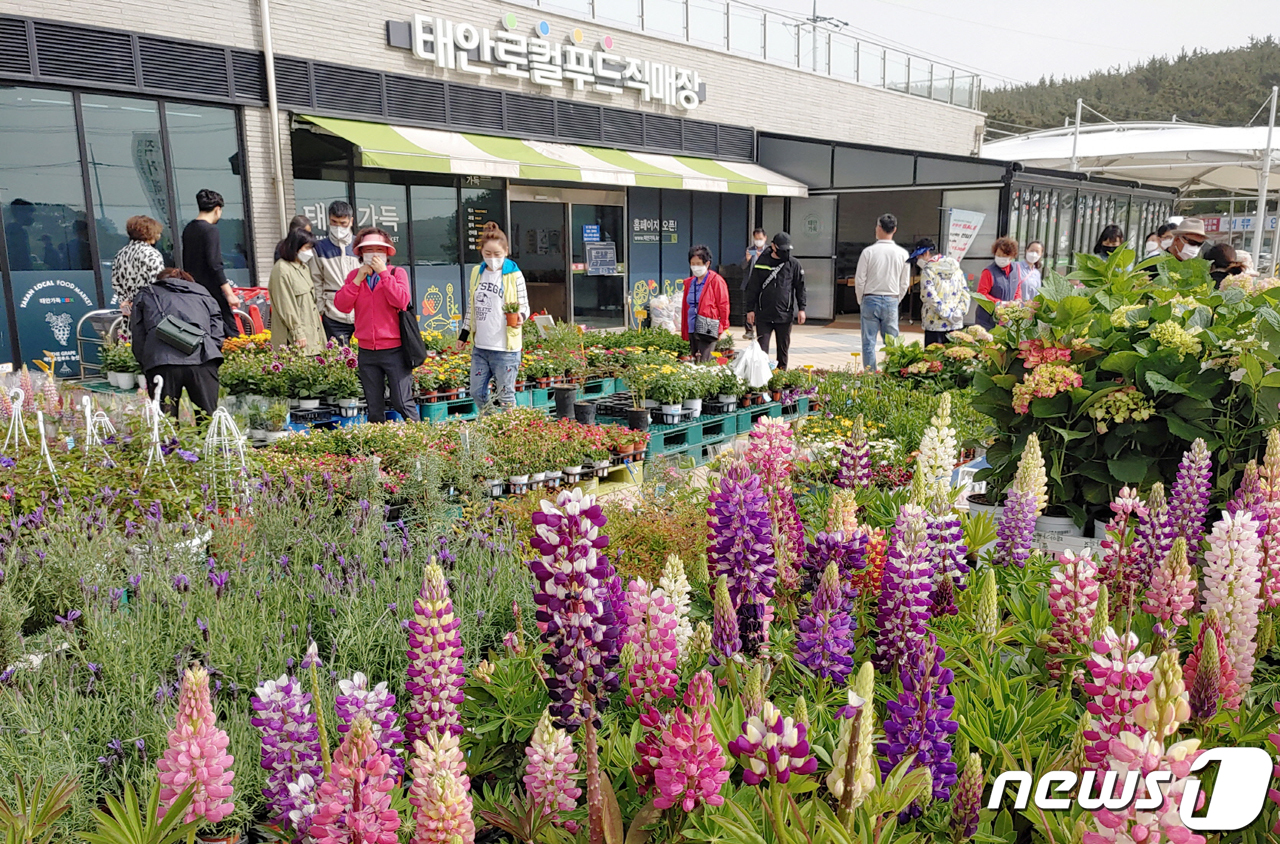 태안군로컬푸드직매장 이미지