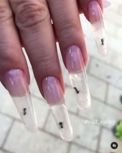개미네일 이미지