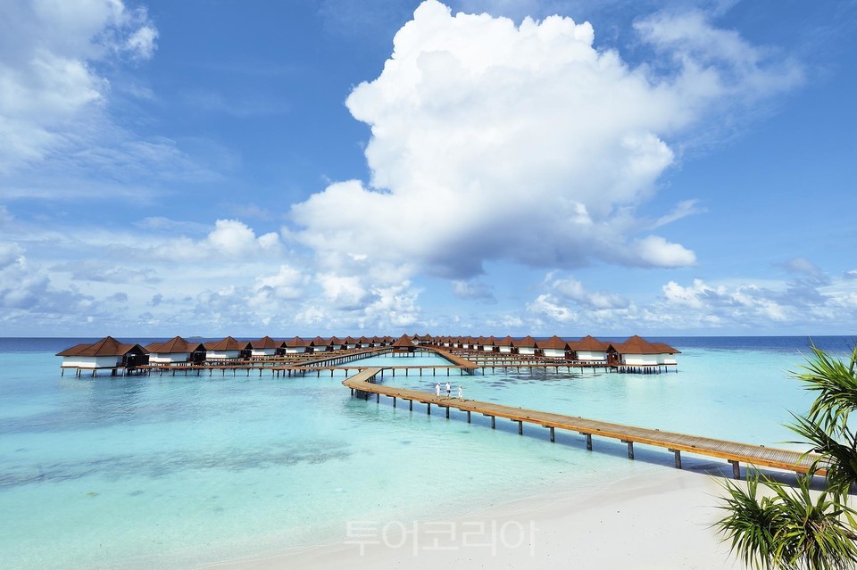 몰디브 이미지