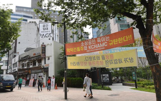 베로니카화원 이미지