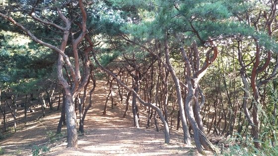 율곡 이미지
