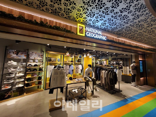 테일러파트너스 이미지
