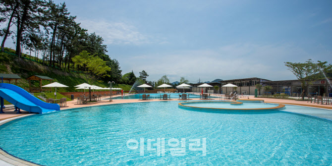 상하농원 파머스빌리지 수영장 이미지