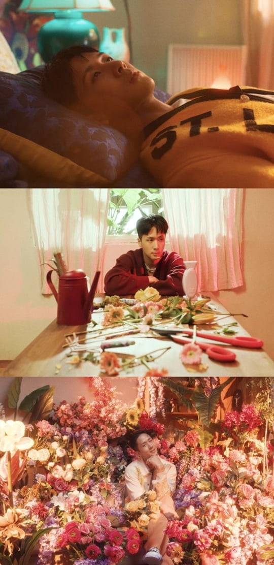 라비 이미지