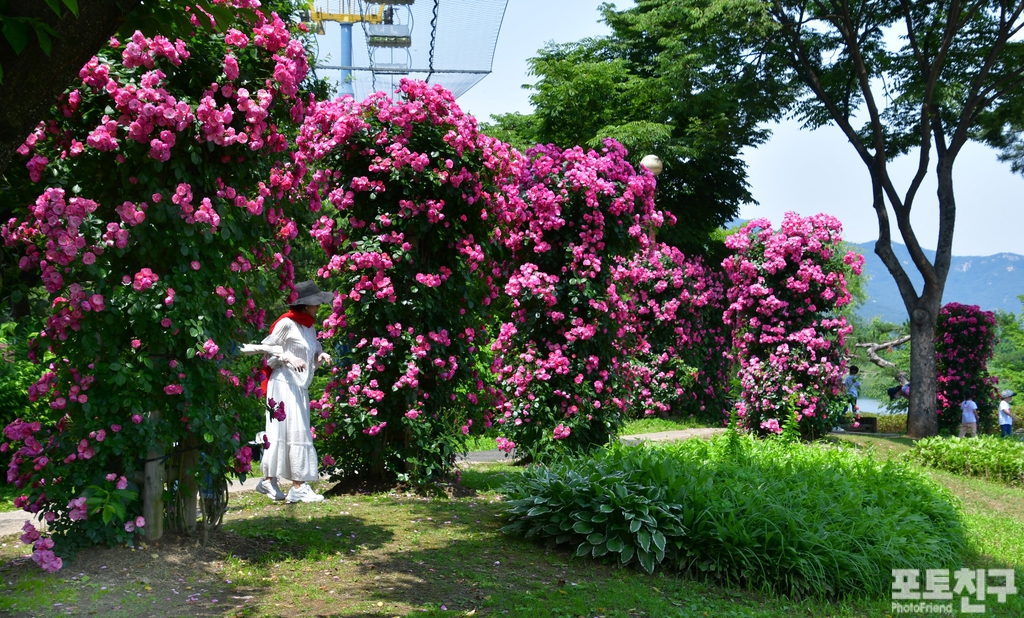 향기정원 이미지