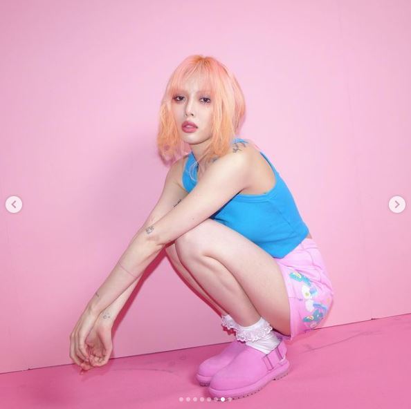 셀럽헤어 이미지