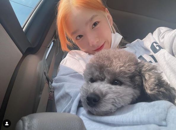 셀럽헤어 이미지