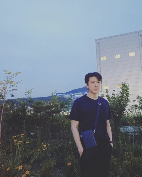 버티칼월드 이미지
