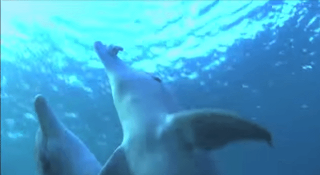 [BBC 유튜브 캡처]