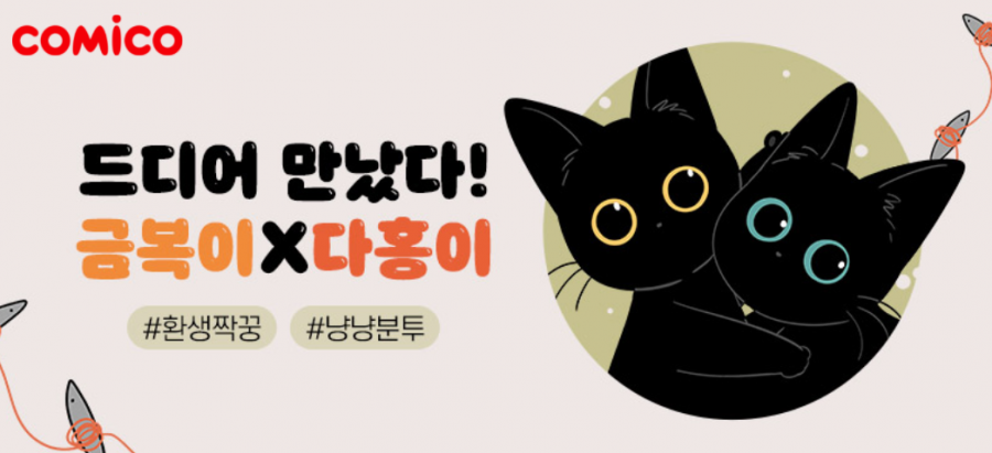 다홍 이미지