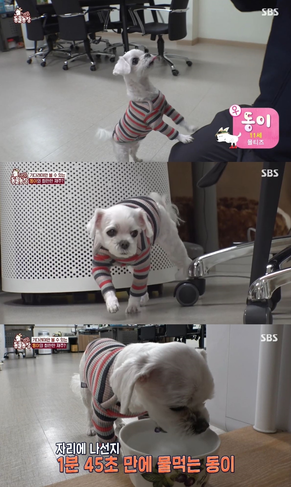 동이그릇이야기 이미지