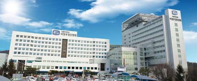엔젤스골드 이미지