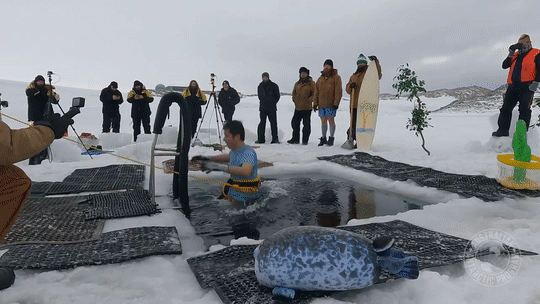 남극 한복판에 해빙을 뚫고 만든 '천연 수영장'이 공개되며 눈길을 끌고 있다. /사진='antarctica.gov.au' 페이스북