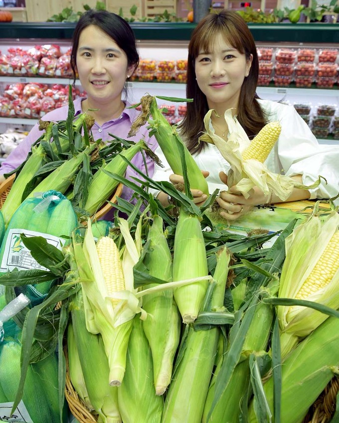 농협유통하나로마트 이미지