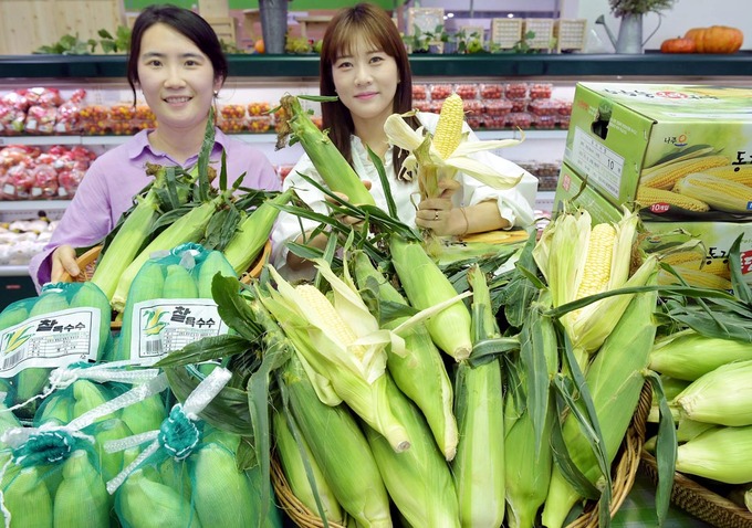 찰옥수수 이미지