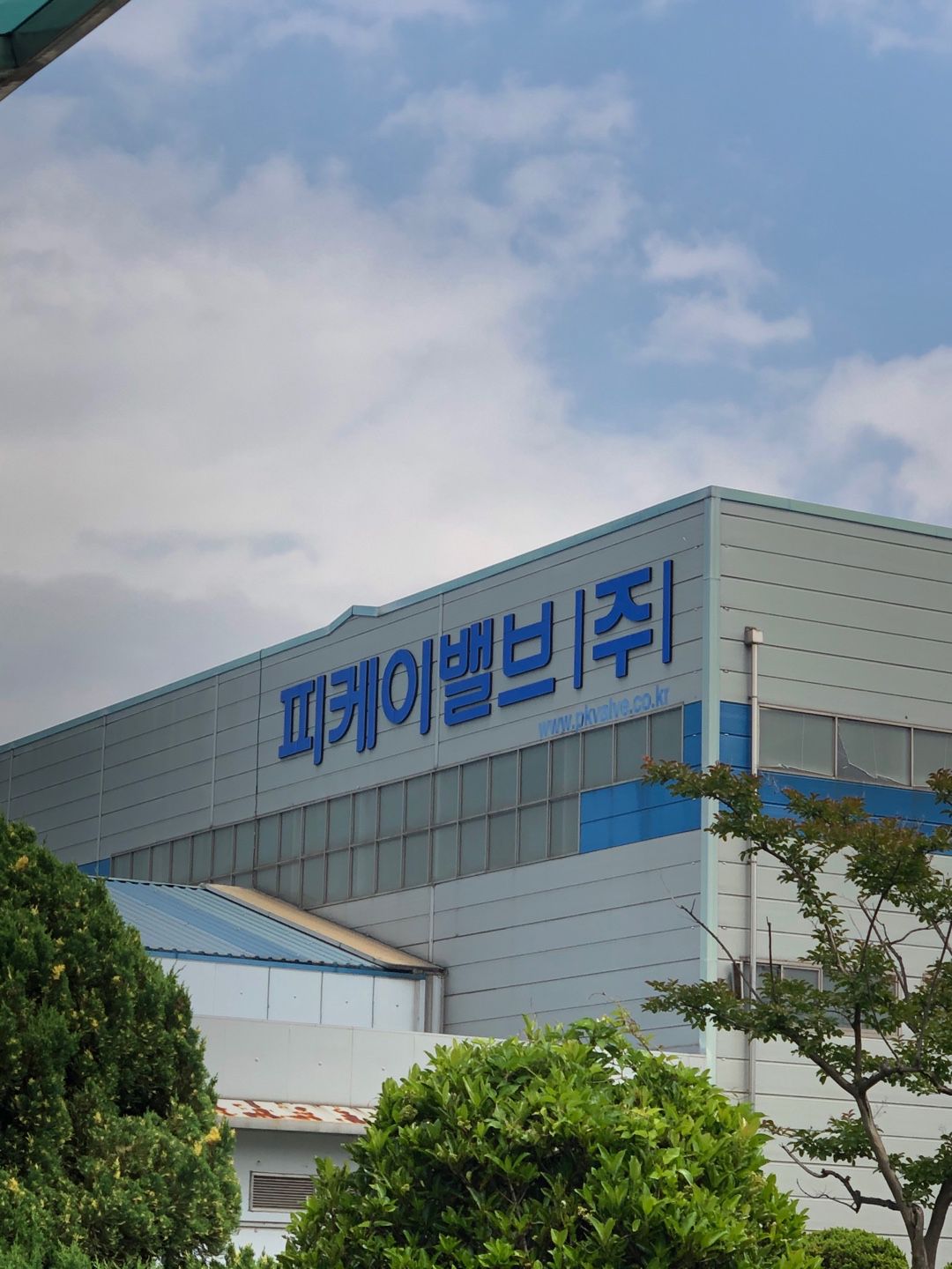 피케이 이미지