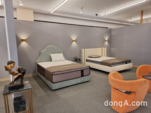 분당알레르망 이미지