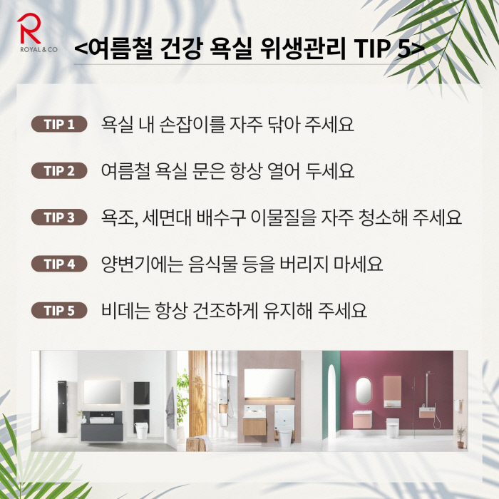 로얄컨설팅 이미지