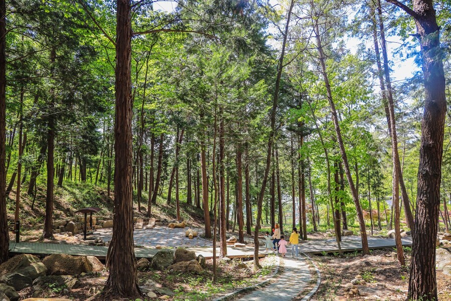 지리산정원 유아숲체험원 이미지