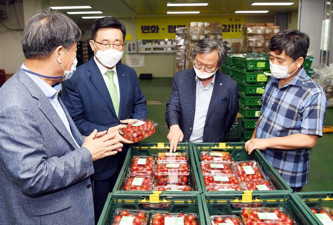 수 농수산 이미지
