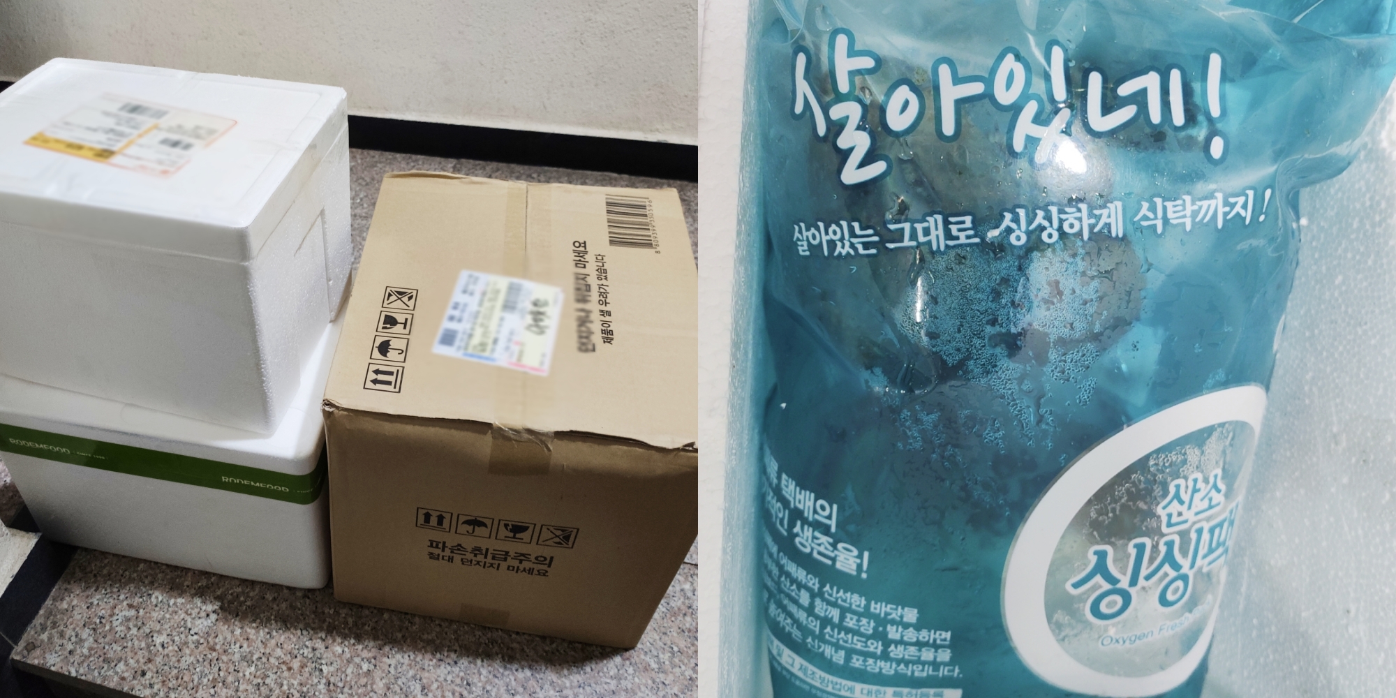 득템 이미지